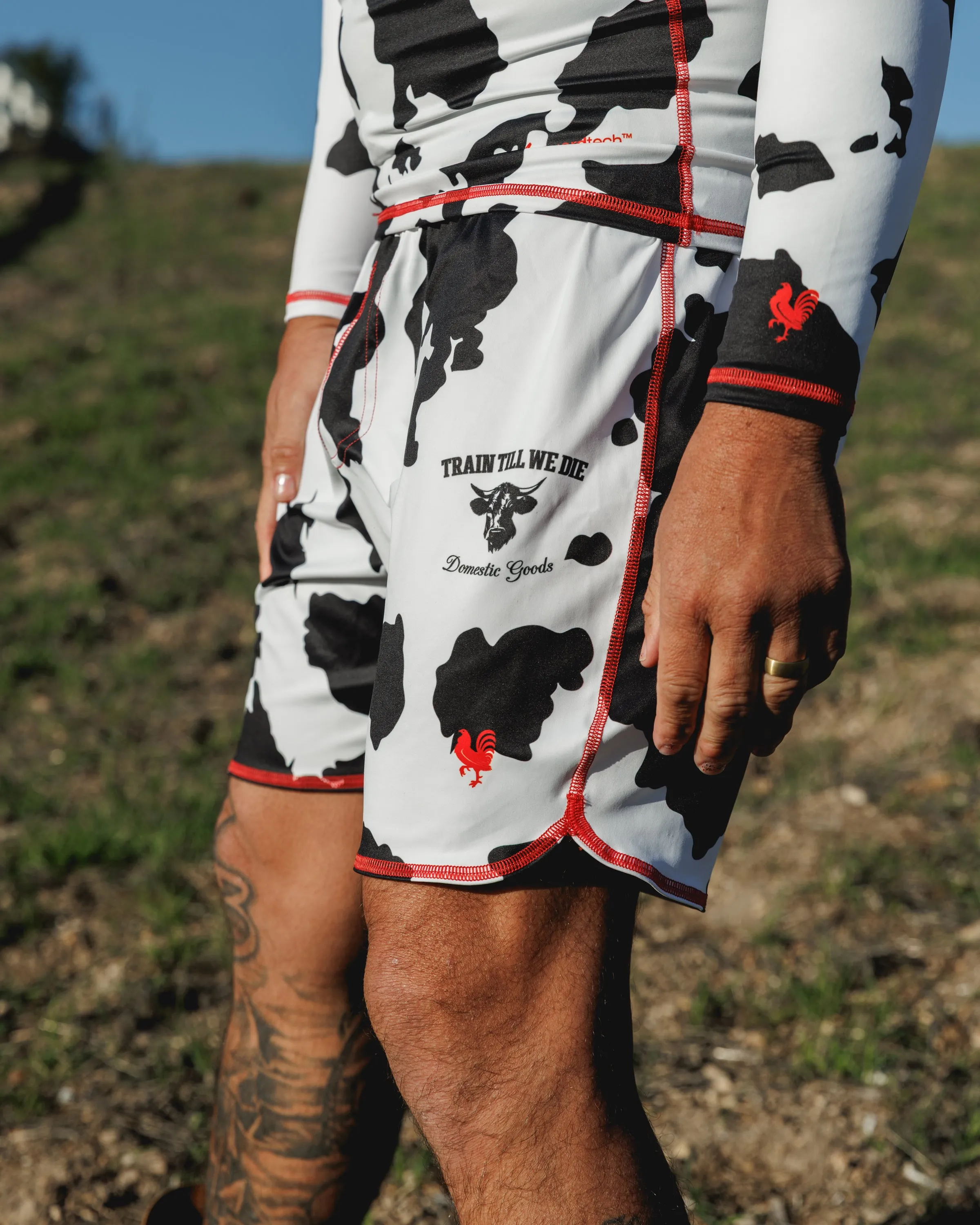 The No Gi Domestic Training Shorts - Holstein Cow - All-Terrain-Flex™